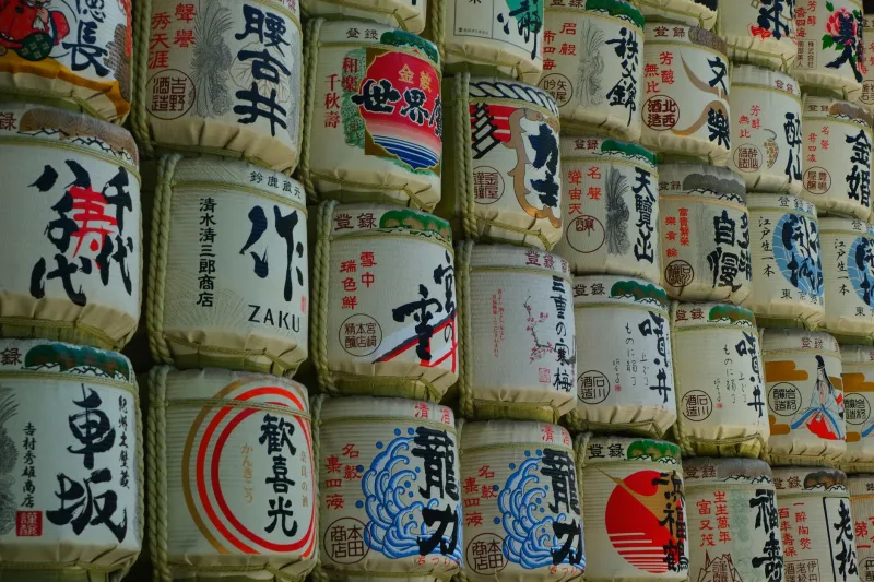 The Tiny Fungus Behind Kochi's Big Flavors: A Brewer's Guide to Koji