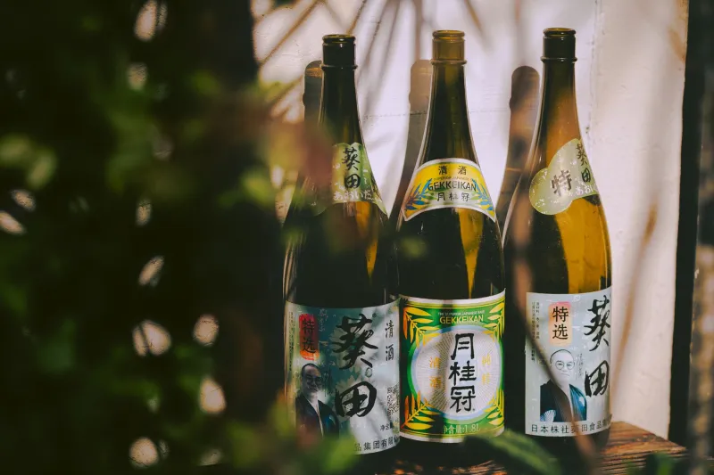 Your First Kochi Sake: A No-Nonsense Buying Guide That Actually Matches Your Taste